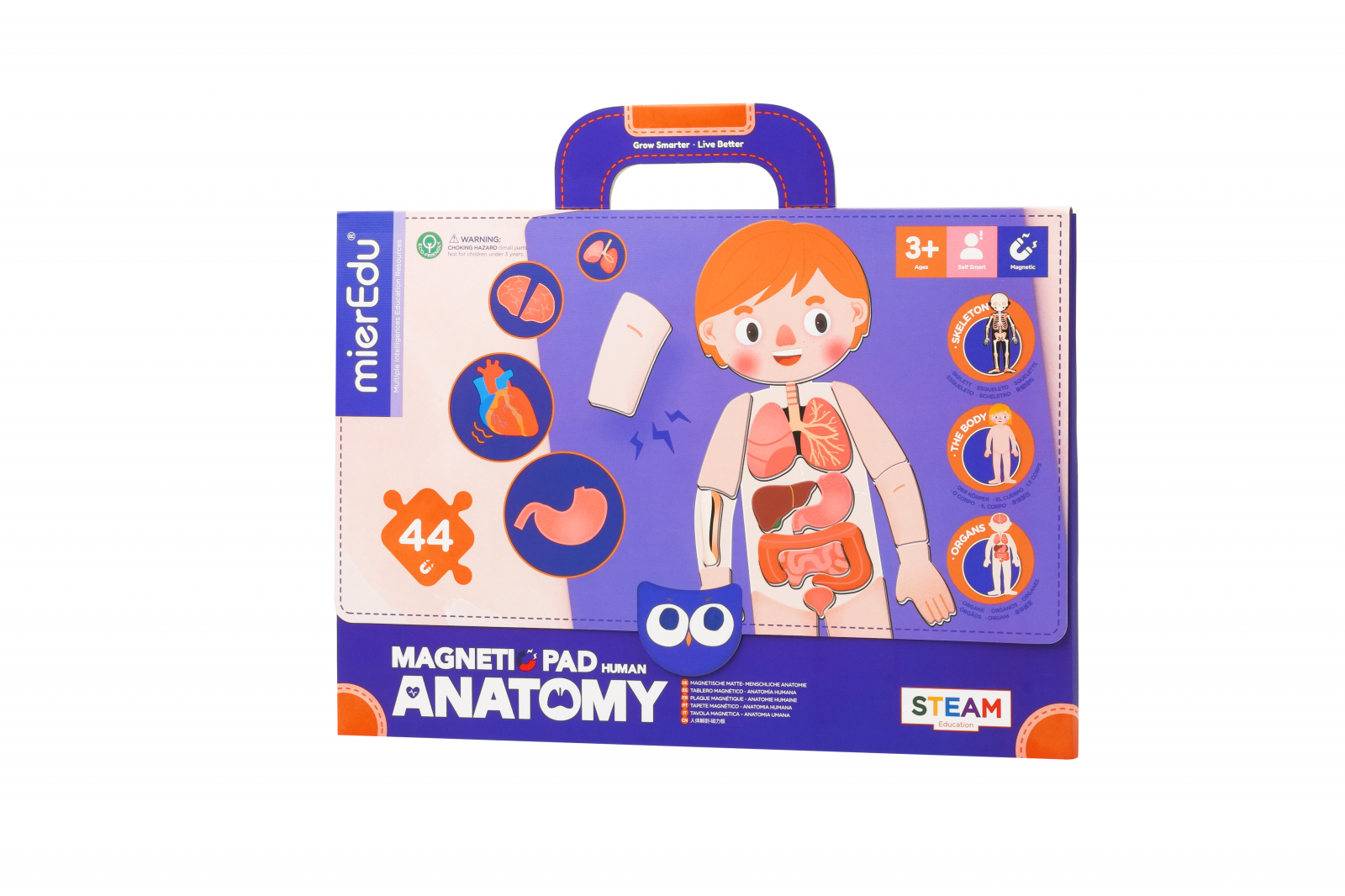 Joc magnetic educativ – Anatomia Umana